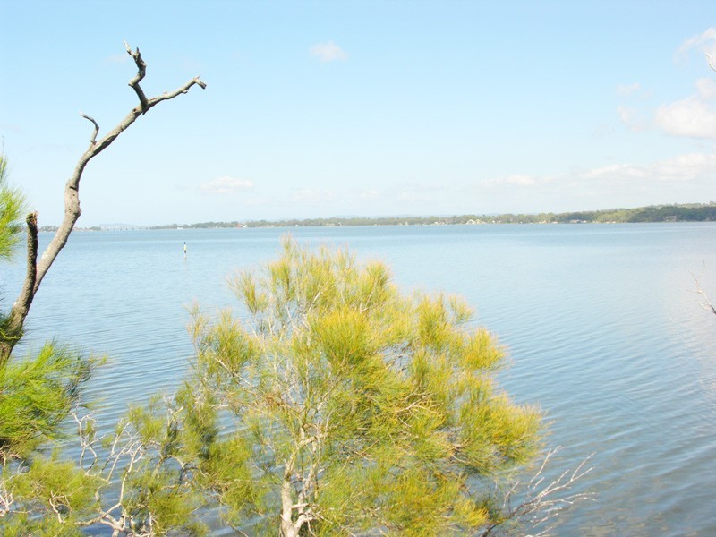 Buff Point NSW 2262