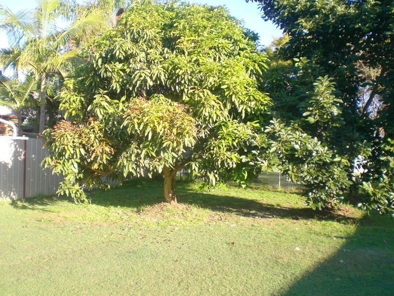 Toukley NSW 2263