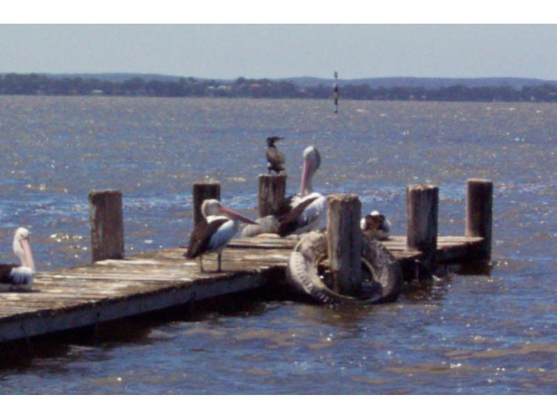 Tuggerawong NSW 2259