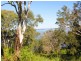 Budgewoi NSW 2262