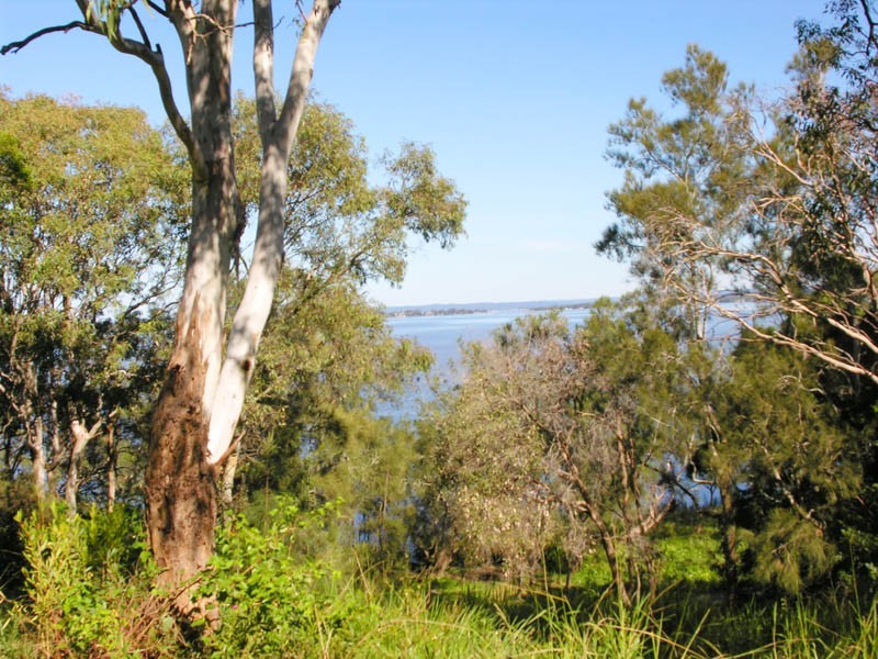 Budgewoi NSW 2262