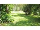 Buff Point NSW 2262