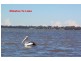 Toukley NSW 2263