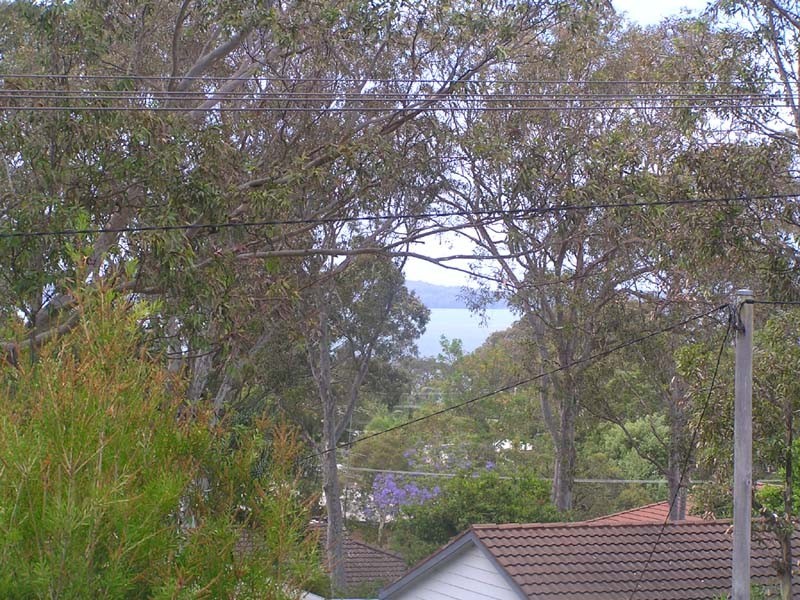 Kanwal NSW 2259