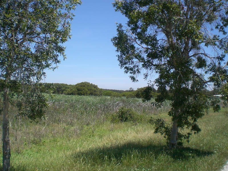 6 Blue Box Close, Hamlyn Terrace NSW 2259