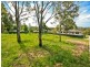 31A Martinsville Road, Cooranbong NSW 2265