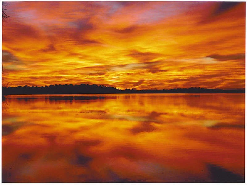 17 Sylvia Avenue, Gorokan NSW 2263