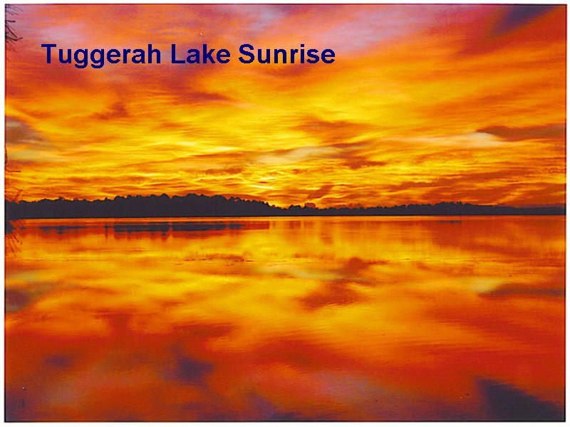 23 Jacqueline Avenue, Gorokan NSW 2263