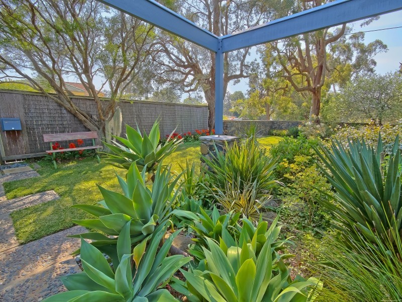 64 Sunrise Avenue, Budgewoi NSW 2262