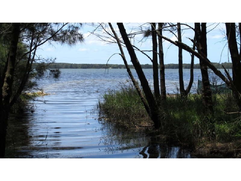 64 Sunrise Avenue, Budgewoi NSW 2262