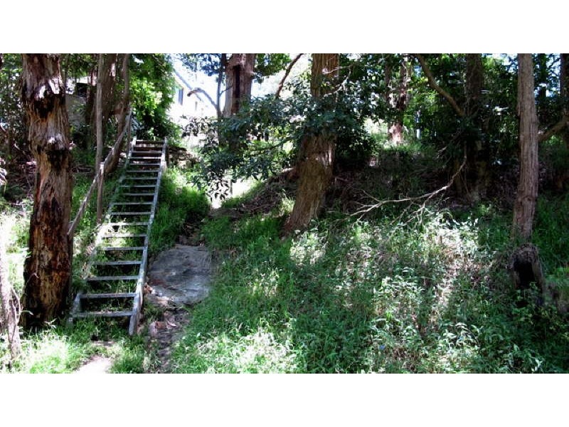 64 Sunrise Avenue, Budgewoi NSW 2262