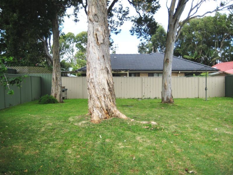 11 Wallis Avenue, Canton Beach NSW 2263