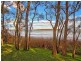 20 Diamond Head Drive, Budgewoi NSW 2262